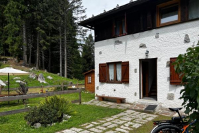Casa ai Caprioli Pellizzano